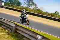 Silver_Grey Bikes